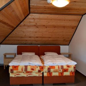 Dvoulůžkový pokoj s manželskou postelí nebo oddělenými lůžky a sdílenou koupelnou - 25 € osoba / noc